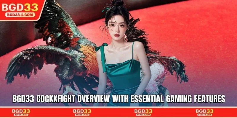 BGD33 Cockkfight overview with essential gaming features
