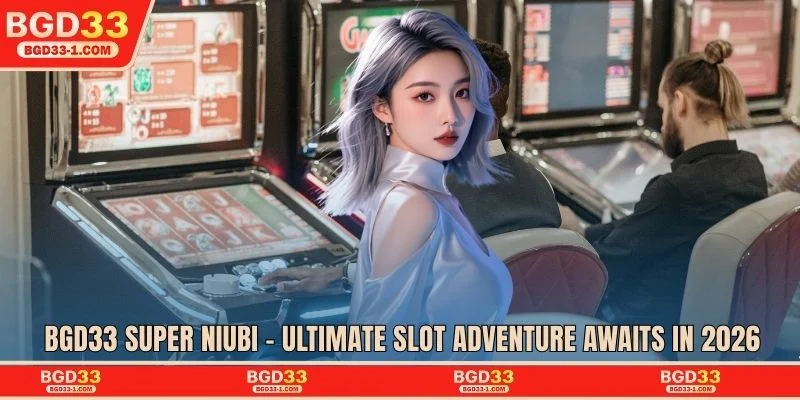 BGD33 Super Niubi