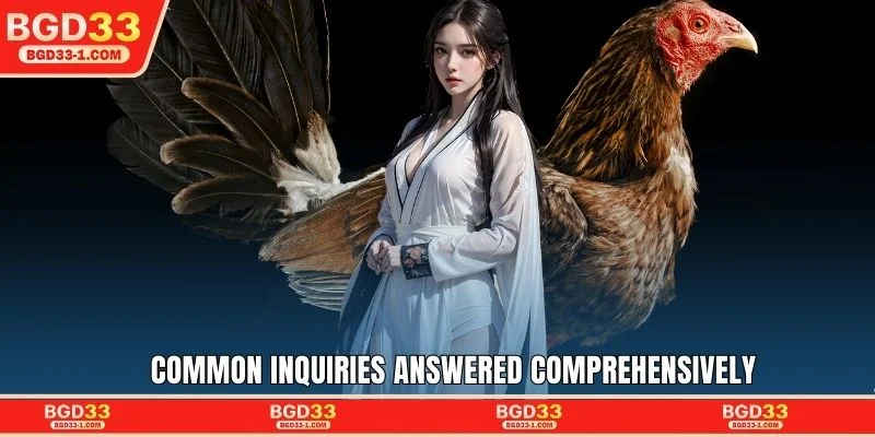 Common inquiries answered comprehensively