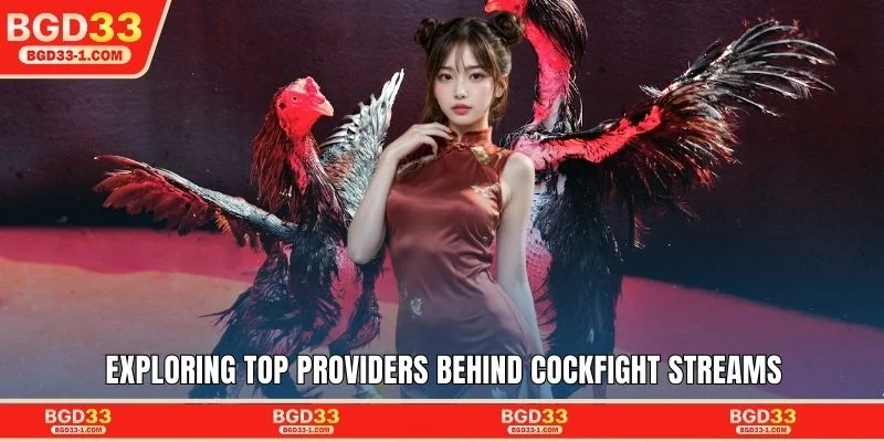 Exploring top providers behind cockfight streams