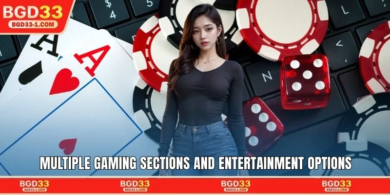 Multiple gaming sections and entertainment options