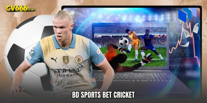 BD Sports Bet Cricket