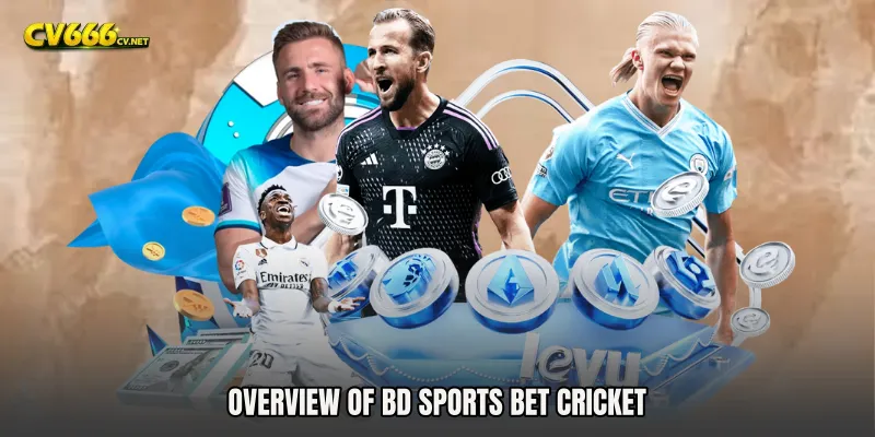 Overview of BD Sports Bet Cricket
