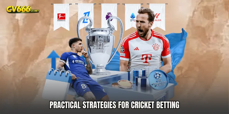Practical Strategies for Cricket Betting
