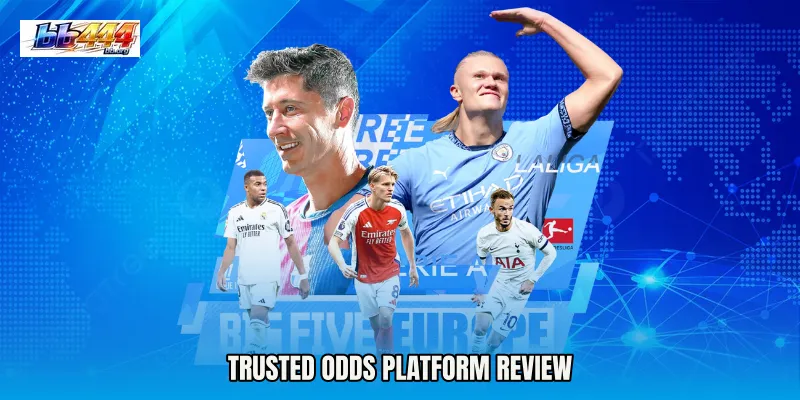 Trusted odds platform review
